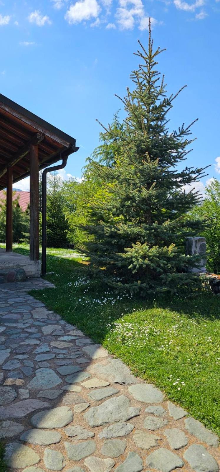 Apartments Greenstone Колашин Экстерьер фото